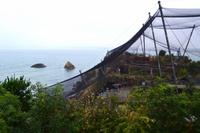 363 Torquay, Abendspaziergang