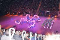 Changxing Lotus Dragon Dance Folklore Group