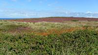 105 Cornwall, Rosamunde-Pilcher-Land