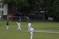 Crickett: Kurz vorm Wurf