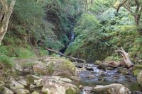 Gebirgsbach, Glendalough