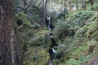 Wasserfall, Glendalough