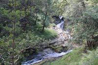 Gebirgsbach, Glendalough