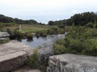 Fluss Dart im Dartmoor