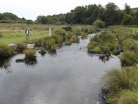 Fluss Dart im Dartmoor
