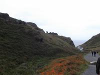 Weg nach Tintagel
