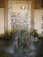 Tanzende Krone in Arundel