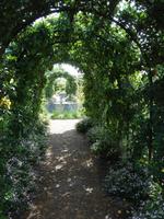 Schöne Blicke in Arundel