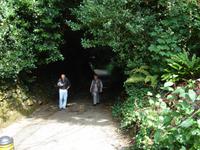 Auf dem Wege zum Meer auf der Isle of Wight