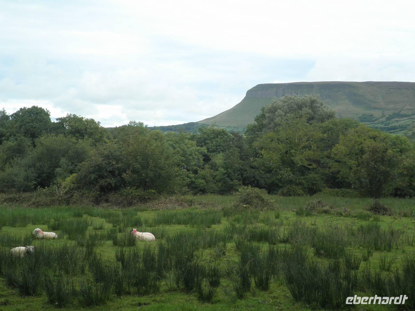 Ben Bulben