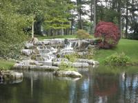 Nationalgestüt Irland