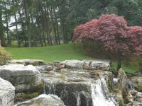 Nationalgestüt Irland