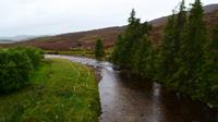 0085 Cairngorm Mountains, Brücke über den Gairn