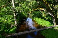 0115 Keith & Dufftown Railway, Towiemore Station