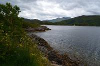 0169 Prince Charlies Cairn