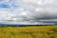 0235 Borderland,  Carters Bar