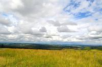 0236 Borderland,  Carters Bar