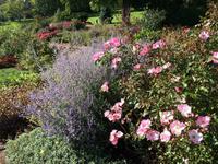 Killerton House and Gardens