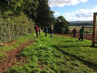 Killerton House and Gardens