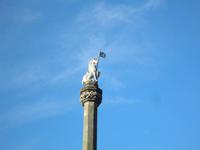 Schottisches Einhorn