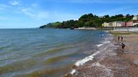 114 Dawlish, Englische Riviera