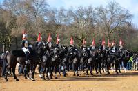 London, Wachablösung bei der Horse Guard