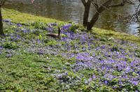 London, St. James Park