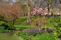 London, St. James Park