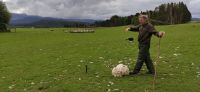 117 Besuch bei Schäfer Niels in Kingussie