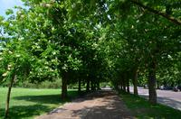 004 London, Greenwich Park