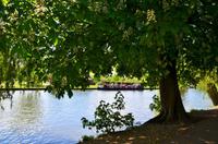 073 Strateford, Aven