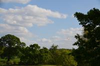 100 Warwick Castle, Trebuchet