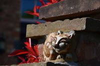 123 Chester, Grinsekatze