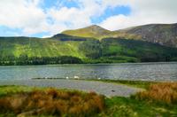 155 Snowdonia NP, Llyn Gwellyn