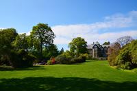 195 Bodnant Garden