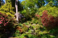 225 Bodnant Garden