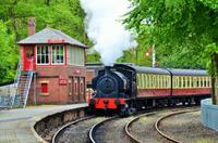 242 Lakeside, Dampfbahn