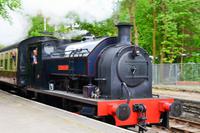 245 Lakeside, Dampfbahn