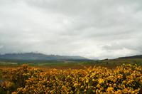 278 Highlands, Ben Nevis Massiv