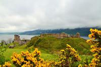 284 Highlands, Uruquart Castle