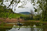 286 Highlands, Nessy in Drumnadrochid