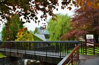 293 Highlands, Blair Athol Distillery