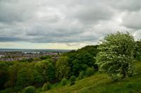 314 Edinburgh vom Carlton Hill