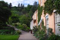Killerton House & Garden