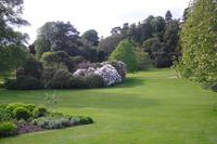 Killerton Garden