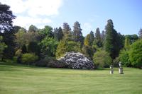 Killerton Garden