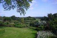 Killerton Garden