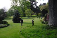 Killerton Garden