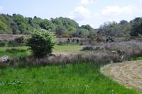 Postbridge - Dartmoor