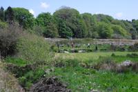 Postbridge - Dartmoor